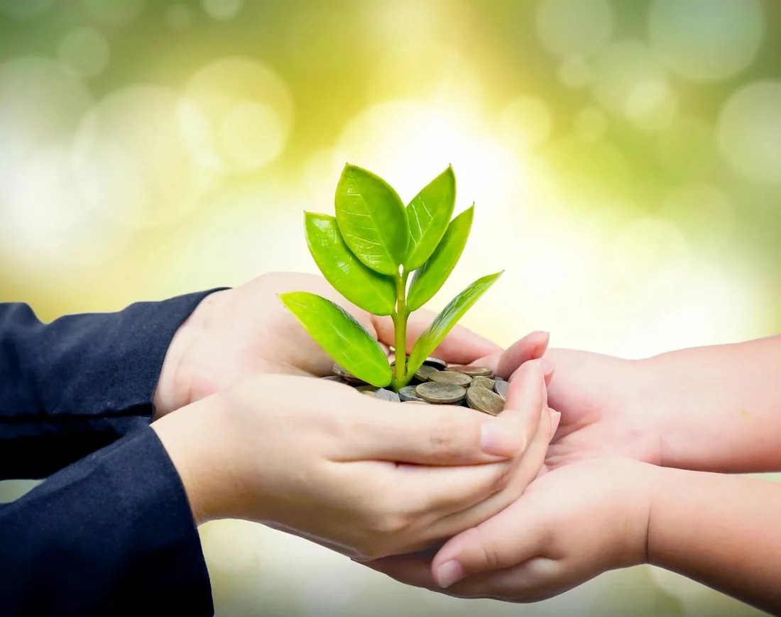 Two pairs of hands holding coins and a growing seedling, symbolizing charitable giving